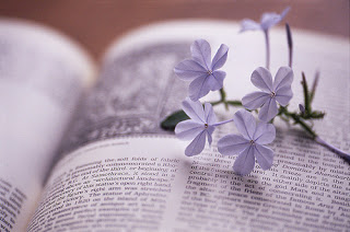 book,flower,inspiration,life,photography,feeling-9061b7496f0a202c8405e48179027746_h